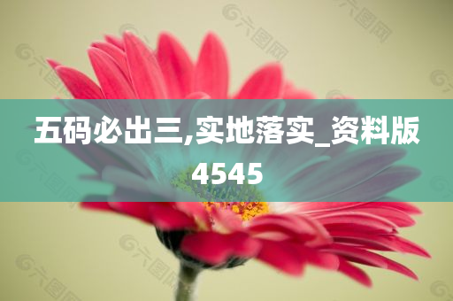 五码必出三,实地落实_资料版4545