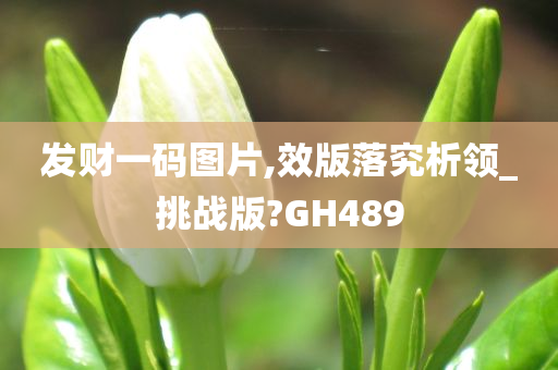 发财一码图片,效版落究析领_挑战版?GH489