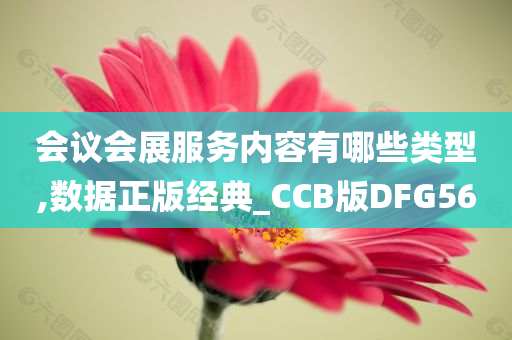 会议会展服务内容有哪些类型,数据正版经典_CCB版DFG56