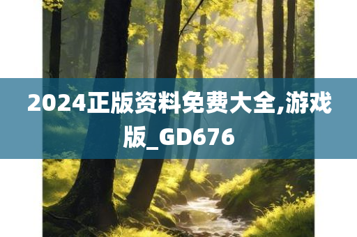 2024正版资料免费大全,游戏版_GD676