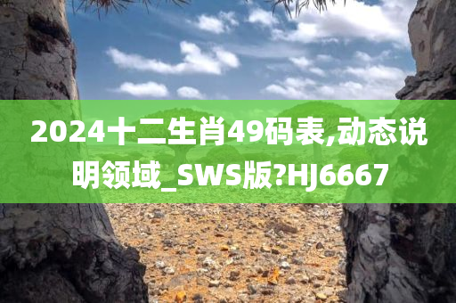 2024十二生肖49码表,动态说明领域_SWS版?HJ6667