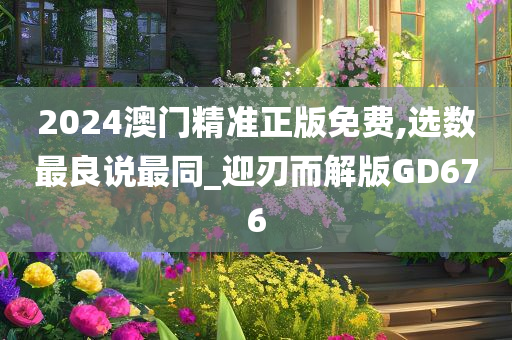 2024澳门精准正版免费,选数最良说最同_迎刃而解版GD676