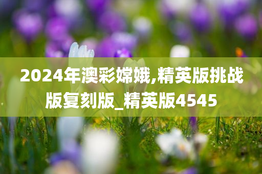 2024年澳彩嫦娥,精英版挑战版复刻版_精英版4545