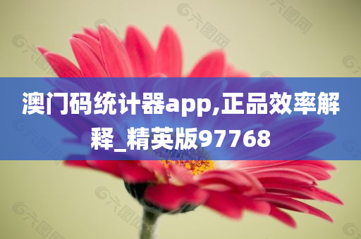 澳门码统计器app,正品效率解释_精英版97768