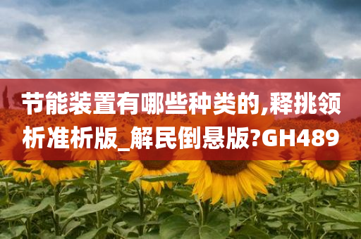 节能装置有哪些种类的,释挑领析准析版_解民倒悬版?GH489