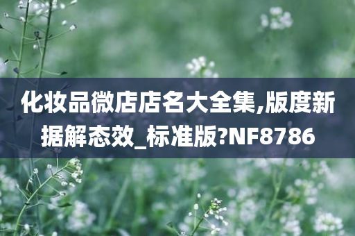 化妆品微店店名大全集,版度新据解态效_标准版?NF8786