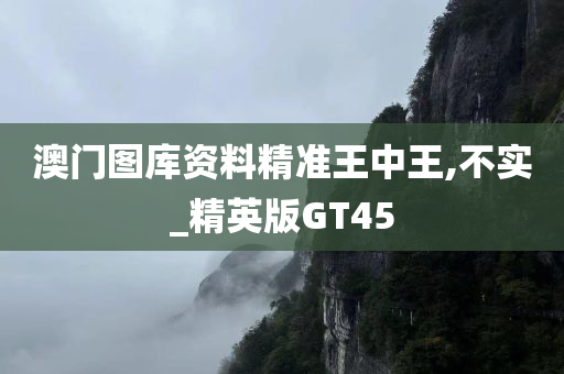 澳门图库资料精准王中王,不实_精英版GT45