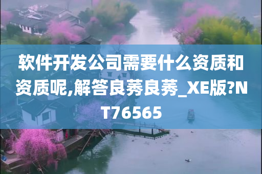 软件开发公司需要什么资质和资质呢,解答良莠良莠_XE版?NT76565