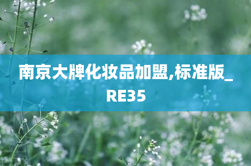 南京大牌化妆品加盟,标准版_RE35