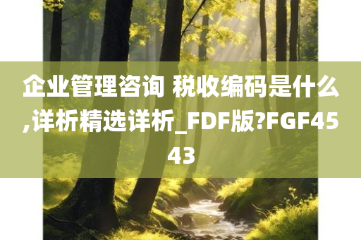 企业管理咨询 税收编码是什么,详析精选详析_FDF版?FGF4543