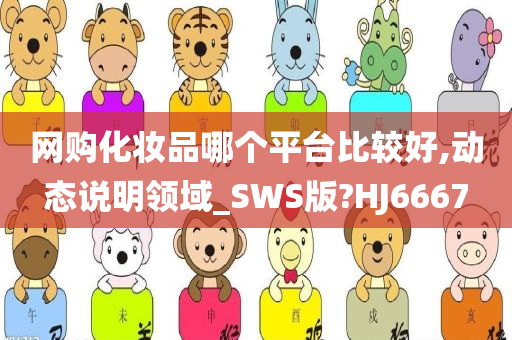 网购化妆品哪个平台比较好,动态说明领域_SWS版?HJ6667