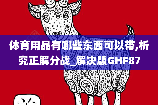 体育用品有哪些东西可以带,析究正解分战_解决版GHF87