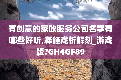 有创意的家政服务公司名字有哪些好听,释经戏析解刻_游戏版?GH4GF89