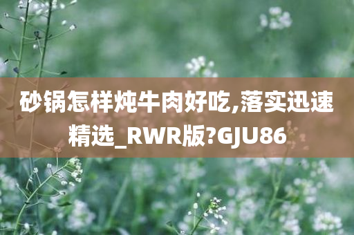 砂锅怎样炖牛肉好吃,落实迅速精选_RWR版?GJU86