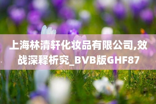 上海林清轩化妆品有限公司,效战深释析究_BVB版GHF87