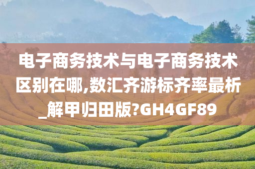 电子商务技术与电子商务技术区别在哪,数汇齐游标齐率最析_解甲归田版?GH4GF89