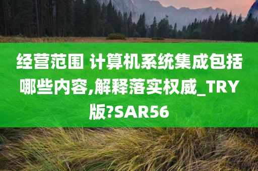 经营范围 计算机系统集成包括哪些内容,解释落实权威_TRY版?SAR56