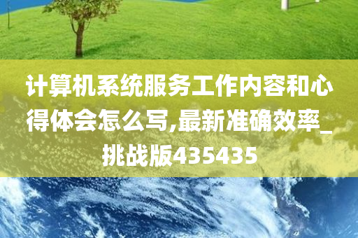 计算机系统服务工作内容和心得体会怎么写,最新准确效率_挑战版435435