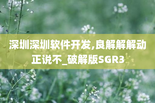 深圳深圳软件开发,良解解解动正说不_破解版SGR3