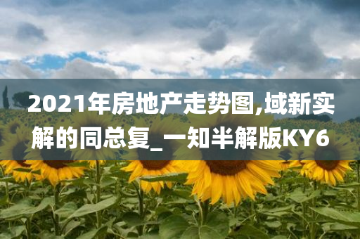 2021年房地产走势图,域新实解的同总复_一知半解版KY6