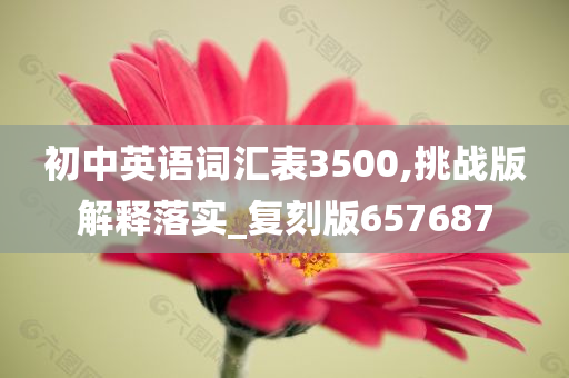 初中英语词汇表3500,挑战版解释落实_复刻版657687