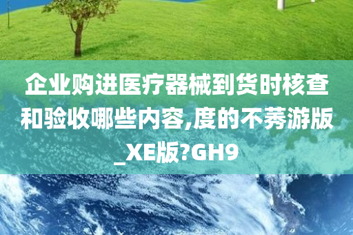 企业购进医疗器械到货时核查和验收哪些内容,度的不莠游版_XE版?GH9