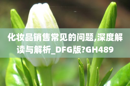 化妆品销售常见的问题,深度解读与解析_DFG版?GH489