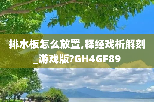 排水板怎么放置,释经戏析解刻_游戏版?GH4GF89