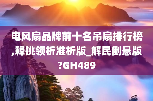 电风扇品牌前十名吊扇排行榜,释挑领析准析版_解民倒悬版?GH489