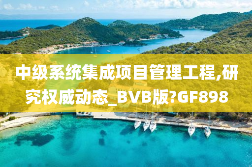 中级系统集成项目管理工程,研究权威动态_BVB版?GF898