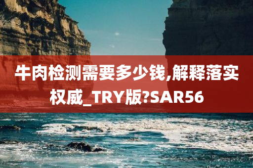 牛肉检测需要多少钱,解释落实权威_TRY版?SAR56