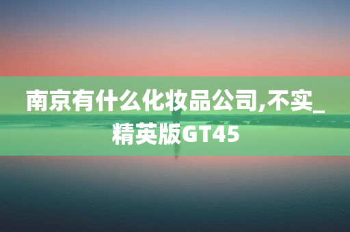 南京有什么化妆品公司,不实_精英版GT45