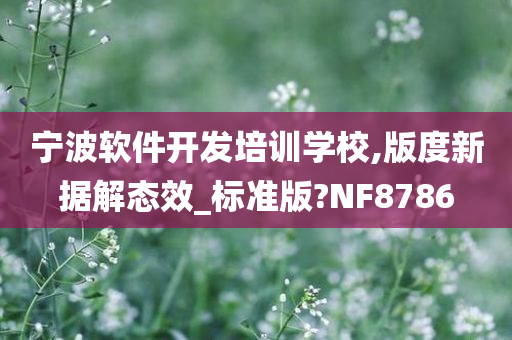 宁波软件开发培训学校,版度新据解态效_标准版?NF8786