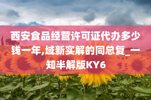 西安食品经营许可证代办多少钱一年,域新实解的同总复_一知半解版KY6