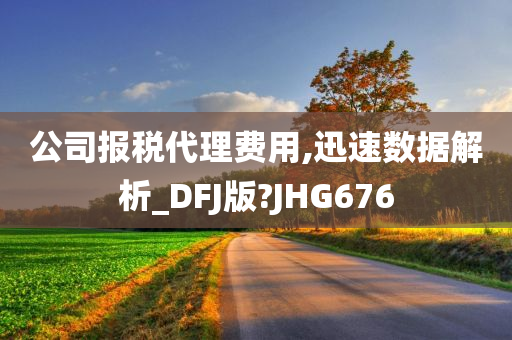 公司报税代理费用,迅速数据解析_DFJ版?JHG676