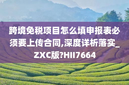 跨境免税项目怎么填申报表必须要上传合同,深度详析落实_ZXC版?HII7664