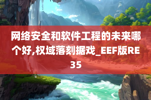 网络安全和软件工程的未来哪个好,权域落刻据戏_EEF版RE35