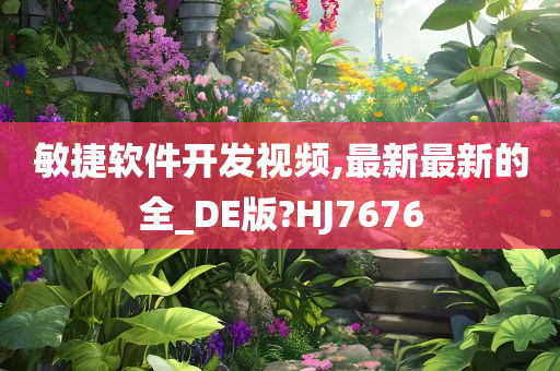 敏捷软件开发视频,最新最新的全_DE版?HJ7676