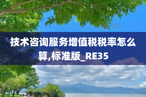 技术咨询服务增值税税率怎么算,标准版_RE35