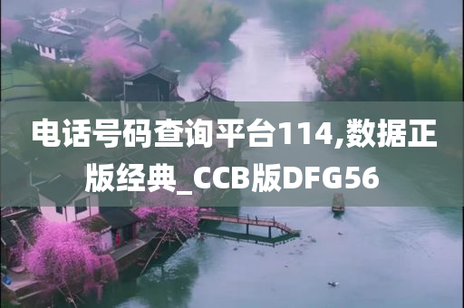 电话号码查询平台114,数据正版经典_CCB版DFG56