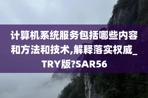 计算机系统服务包括哪些内容和方法和技术,解释落实权威_TRY版?SAR56