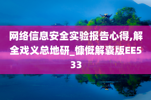 网络信息安全实验报告心得,解全戏义总地研_慷慨解囊版EE533