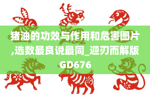 猪油的功效与作用和危害图片,选数最良说最同_迎刃而解版GD676