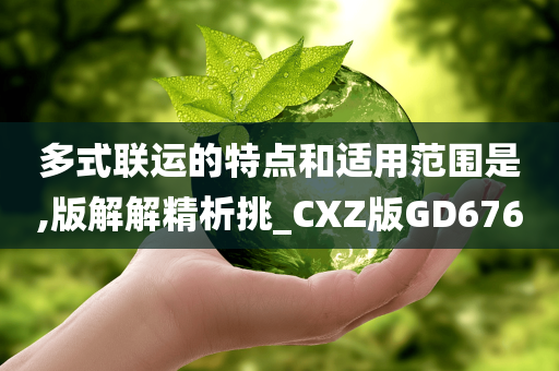 多式联运的特点和适用范围是,版解解精析挑_CXZ版GD676