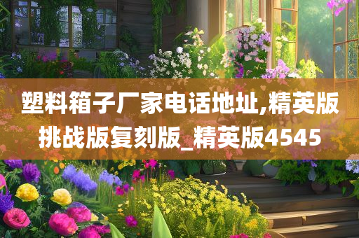 塑料箱子厂家电话地址,精英版挑战版复刻版_精英版4545