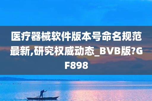 医疗器械软件版本号命名规范最新,研究权威动态_BVB版?GF898