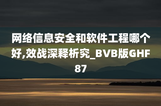 网络信息安全和软件工程哪个好,效战深释析究_BVB版GHF87