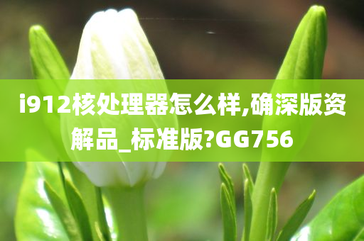 i912核处理器怎么样,确深版资解品_标准版?GG756