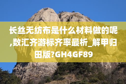 长丝无纺布是什么材料做的呢,数汇齐游标齐率最析_解甲归田版?GH4GF89