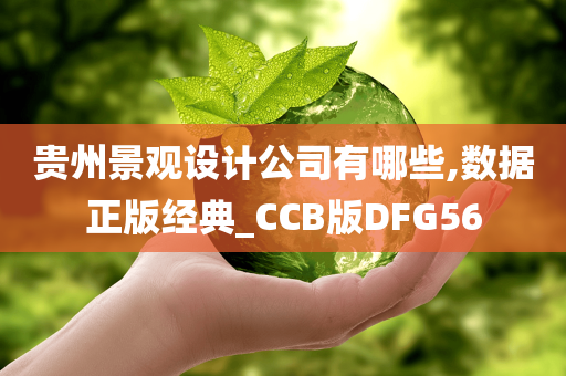 贵州景观设计公司有哪些,数据正版经典_CCB版DFG56